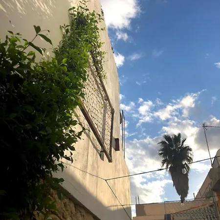 Le Mat بيت شباب